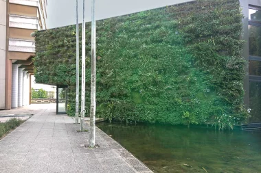 Meriadeck   Bassin et mur de verdure (1).